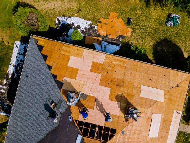 Best Roof Maintenance Services  in Garland, UT